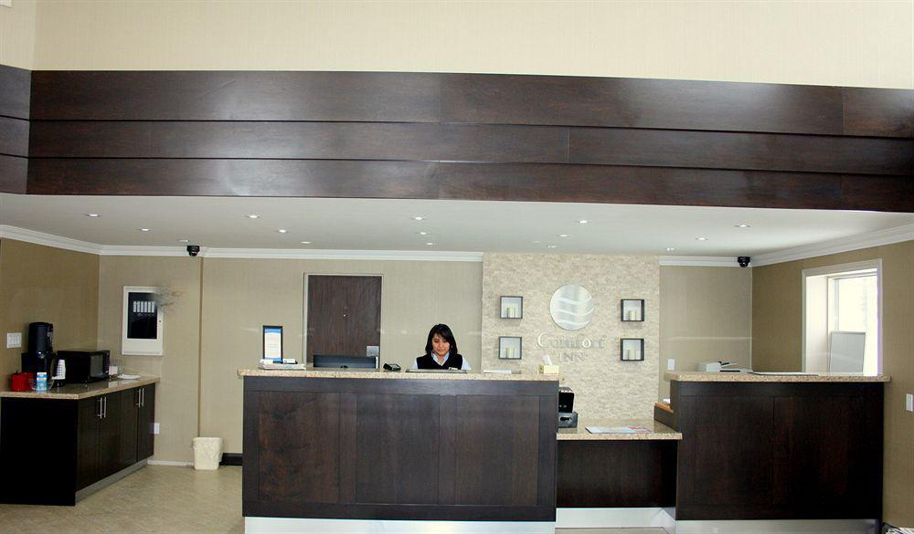 Comfort Inn Brampton Exterior foto