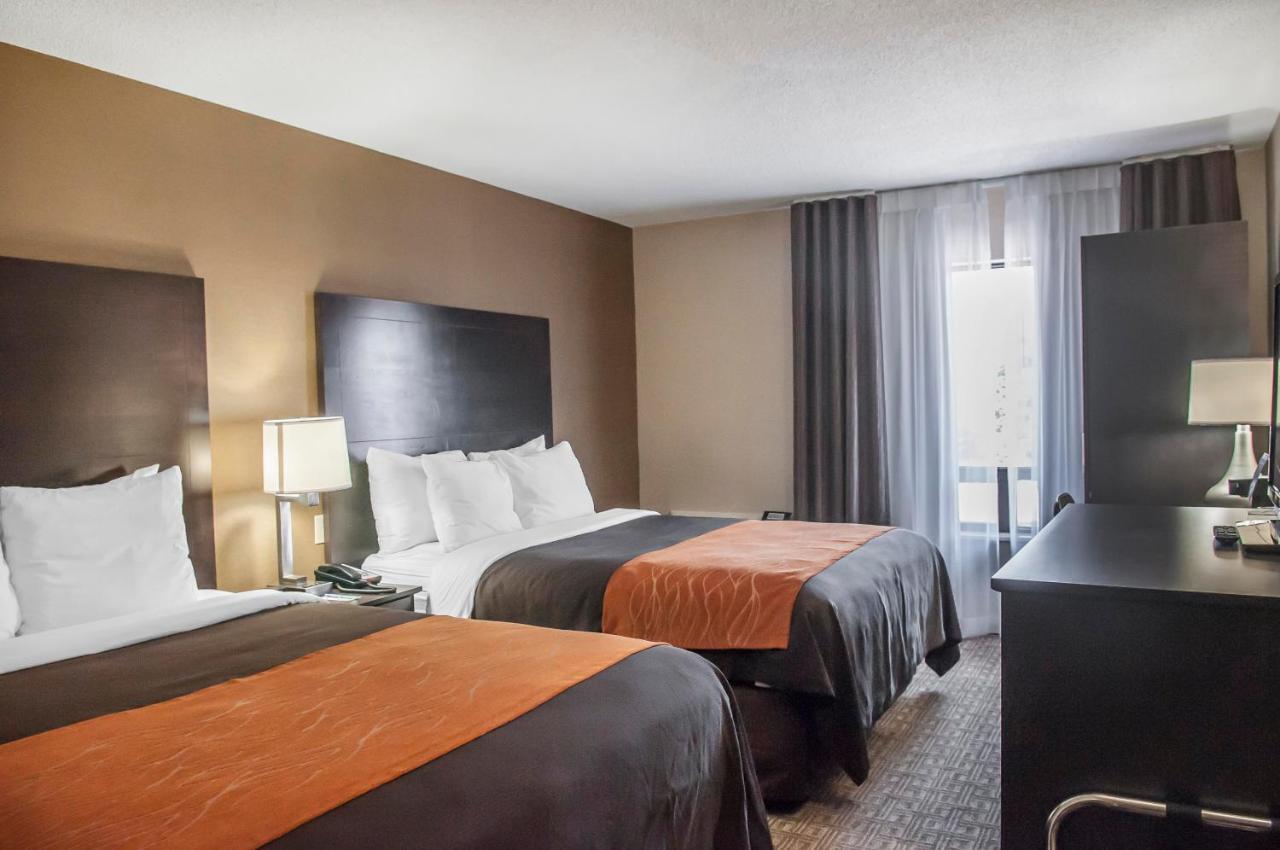 Comfort Inn Brampton Exterior foto