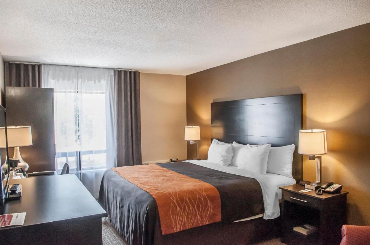 Comfort Inn Brampton Exterior foto